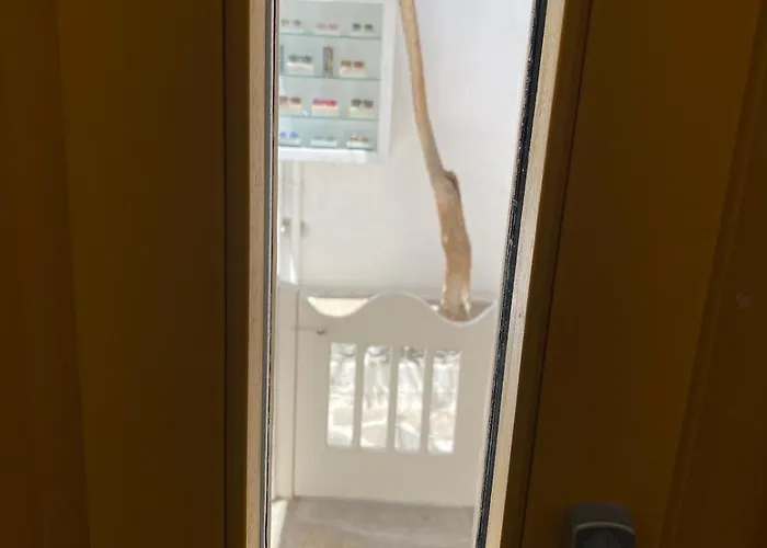 شقة Mooi Downtown *